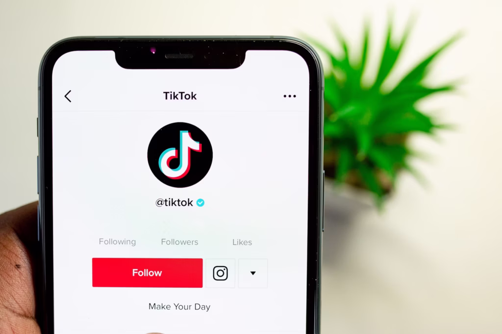 Como cuidar do Tik Tok para ter mais seguidores: Guia com estratégias reais